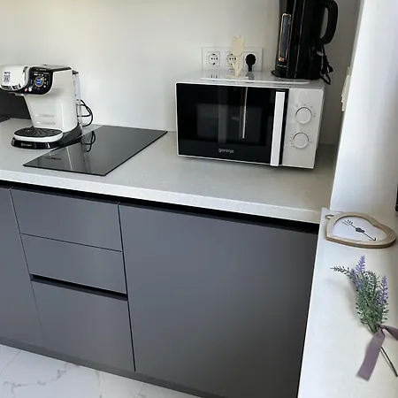 Apartment Merci